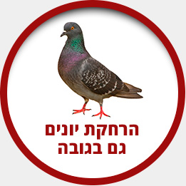 עבודות-גינון