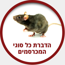 הדברת-מכרסמים